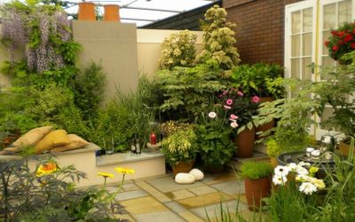 10 STEP GUIDE TO BUILD A TERRACE GARDEN