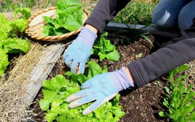 GARDENING