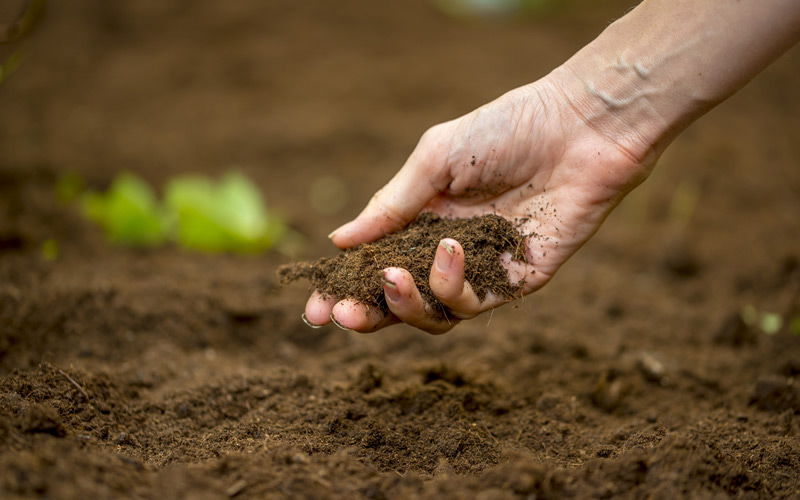 CARE FOR THE SOIL